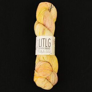 LITLG Fine Sock Yarn Merino Nylon Blend Hand-Dyed Chrysalis